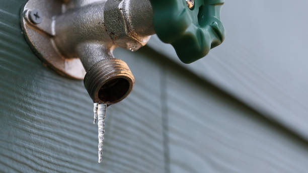 Best Plumbing Repair Near Me  in St Francis, WI