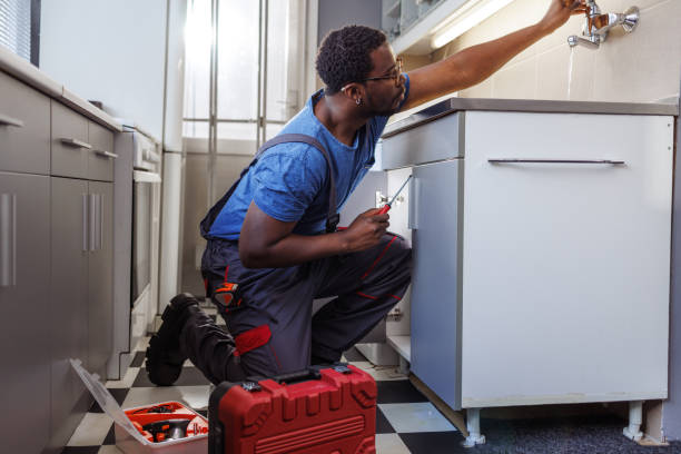 Best Plumbing Services Near Me  in St Francis, WI